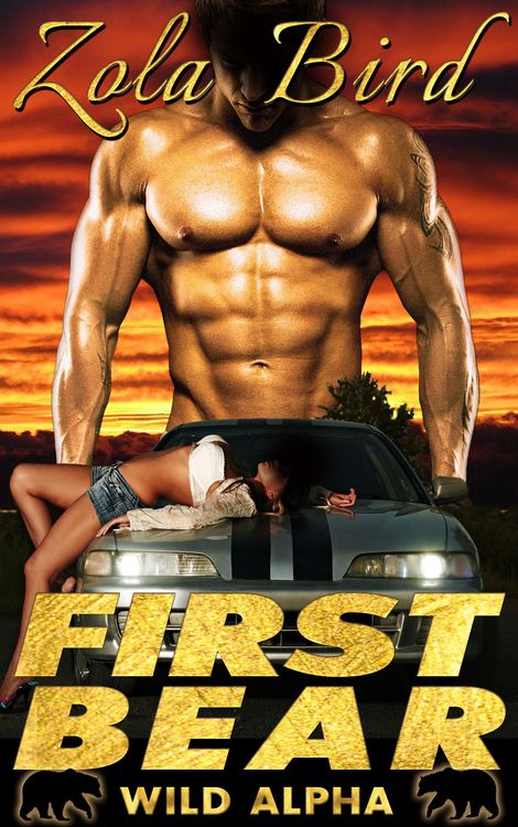 Produktbild: First Bear: BBW Paranormal Romance (Wild Alpha Shifter Mates, #1)