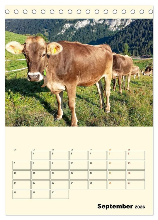 Produktbild: Gl&uuml;ckliche Bergk&uuml;he (Tischkalender 2026 DIN A5 hoch), CALVENDO Monatskalender
