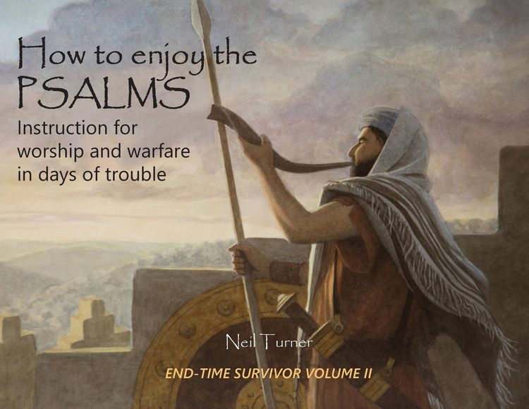 Produktbild: How to Enjoy the Psalms