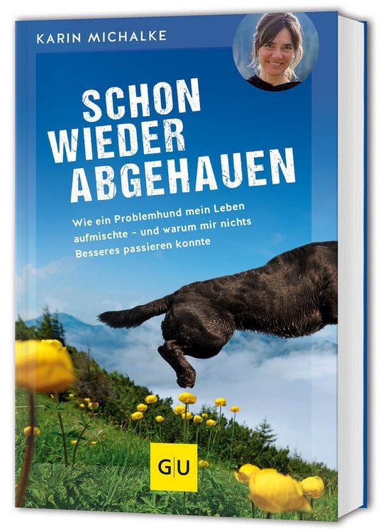 Produktbild: Schon wieder abgehauen