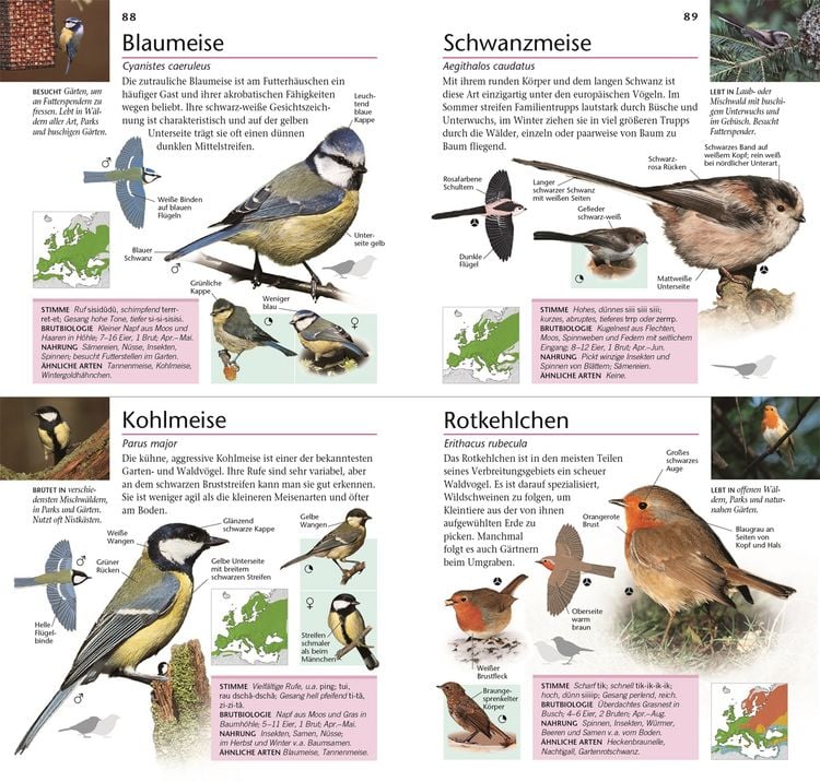Produktbild: Gartenv&ouml;gel beobachten und bestimmen