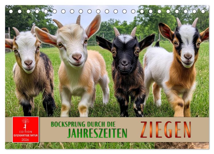 Produktbild: Ziegen - Bocksprung durch das Jahr (Tischkalender 2026 DIN A5 quer), CALVENDO Monatskalender