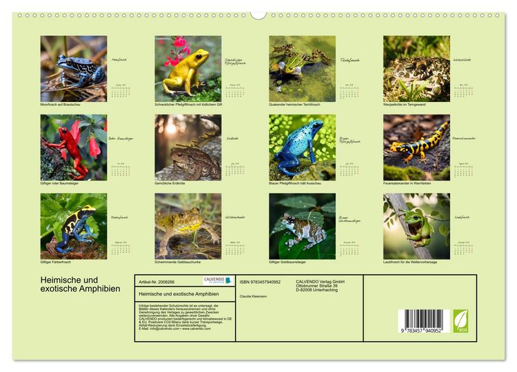 Produktbild: Heimische und exotische Amphibien (hochwertiger Premium Wandkalender 2026 DIN A2 quer), Kunstdruck in Hochglanz