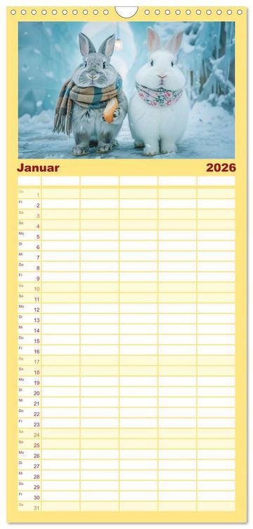 Produktbild: Familienplaner 2026 - Lustige Hasengeschichten mit 5 Spalten (Wandkalender, 21 x 45 cm) CALVENDO
