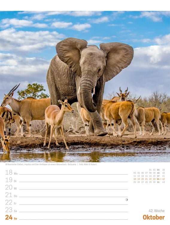 Produktbild: Planet Erde Wochenplaner Kalender 2027 | Landschaften der Welt