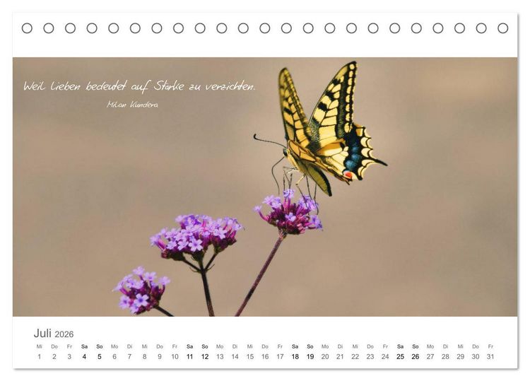 Produktbild: Rendezvous im Park (Tischkalender 2026 DIN A5 quer), CALVENDO Monatskalender