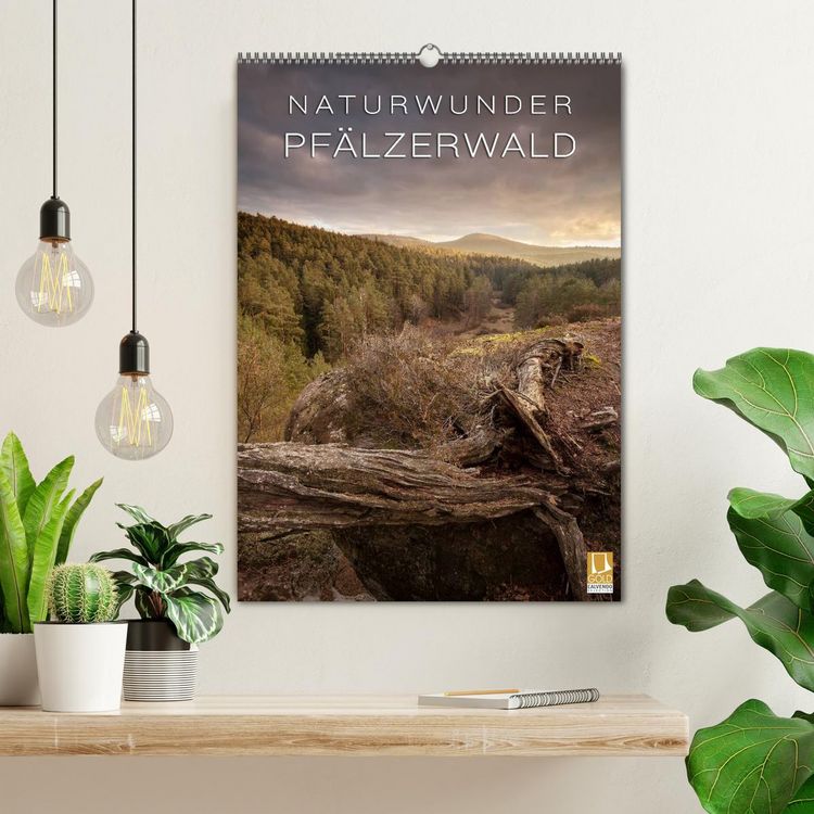 Produktbild: NATURWUNDER PF&Auml;LZERWALD (Wandkalender 2026 DIN A2 hoch), CALVENDO Monatskalender