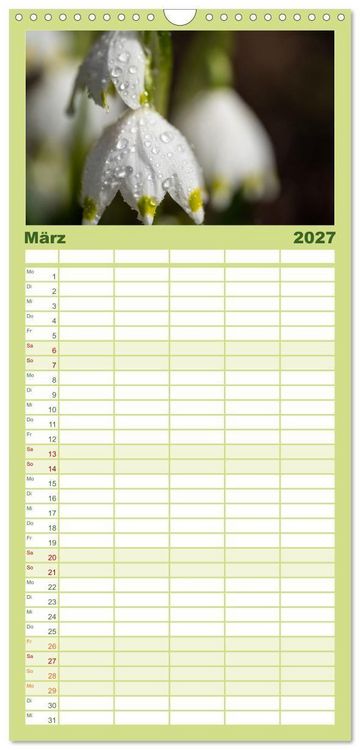 Produktbild: Familienplaner 2027 - Fr&uuml;hlingsbl&uuml;her - Farbenpracht nach dem Winter mit 5 Spalten (Wandkalender, 21 x 45 cm) CALVENDO