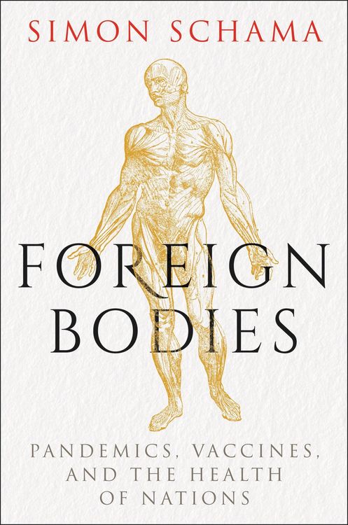 Produktbild: Foreign Bodies