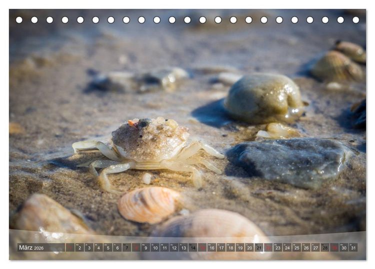 Produktbild: Hooksiel im Friesland (Tischkalender 2026 DIN A5 quer), CALVENDO Monatskalender