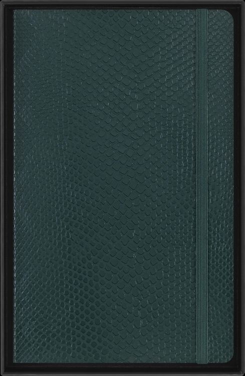 Produktbild: Moleskine Vegea Boa Notizbuch A5 liniert Kt gr&uuml;n in Box