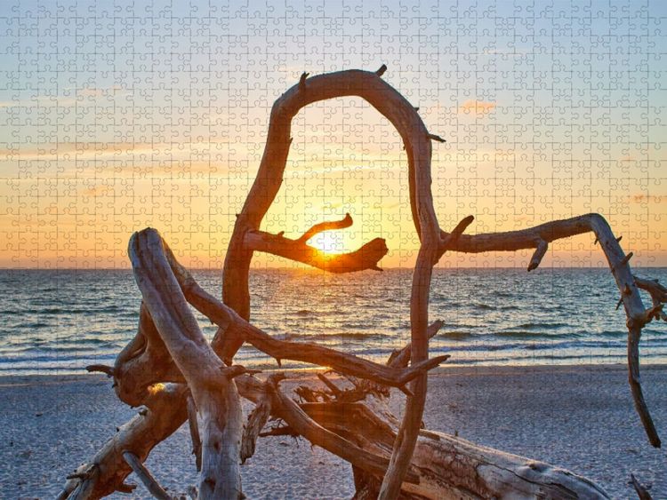 Produktbild: CALVENDO Puzzle Baumliebe am Weststrand Fischland-Darss-Zingst | 1000 Teile Lege-Gr&ouml;&szlig;e 64x48cm Foto-Puzzle f&uuml;r gl&uuml;ckliche Stunden