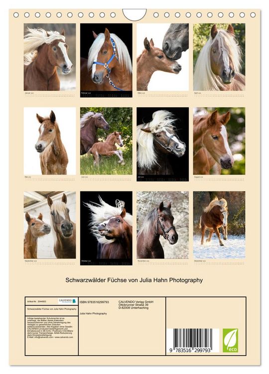 Produktbild: Schwarzw&auml;lder F&uuml;chse von Julia Hahn Photography (Wandkalender 2026 DIN A4 hoch), CALVENDO Monatskalender