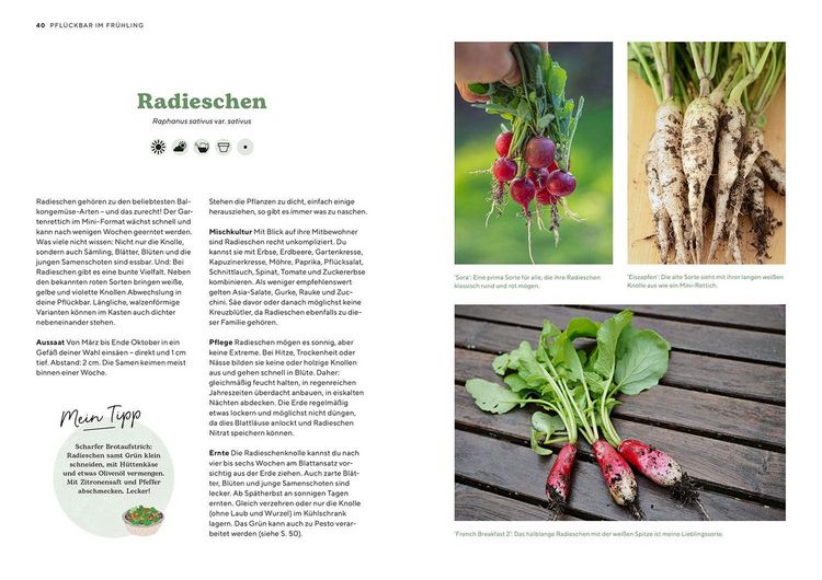 Produktbild: Pfl&uuml;ckbar