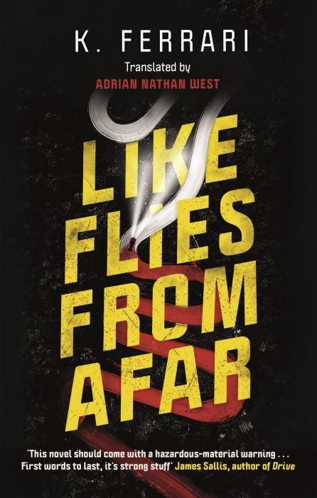 Produktbild: Like Flies from Afar