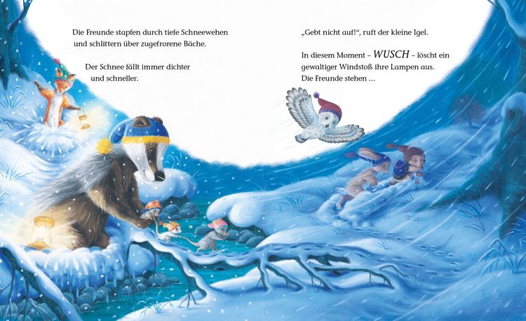 Produktbild: Der kleine Igel und das besondere Weihnachtsgeschenk