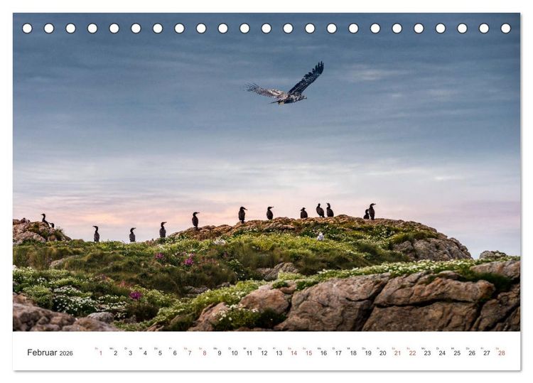 Produktbild: Nordland &ndash; Die Weite Skandinaviens (Tischkalender 2026 DIN A5 quer), CALVENDO Monatskalender