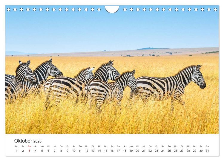 Produktbild: Safari durch Afrika (Wandkalender 2026 DIN A4 quer), CALVENDO Monatskalender