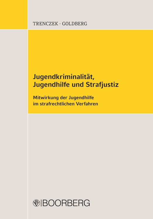 Produktbild: Jugendkriminalit&auml;t, Jugendhilfe und Strafjustiz