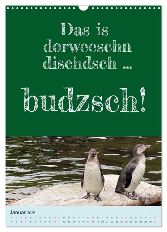 Produktbild: Ni schw&auml;bborn! Mundart und Dialekt Kalender Sachsen (Wandkalender 2026 DIN A3 hoch), CALVENDO Monatskalender