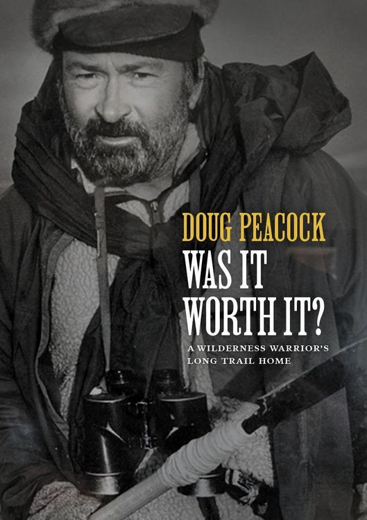 Produktbild: Was It Worth It?