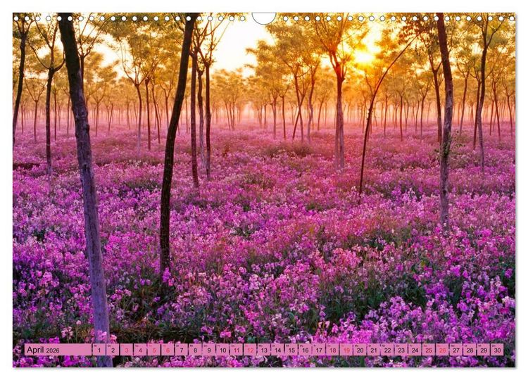 Produktbild: Lila - die mystische Farbe (Wandkalender 2026 DIN A3 quer), CALVENDO Monatskalender
