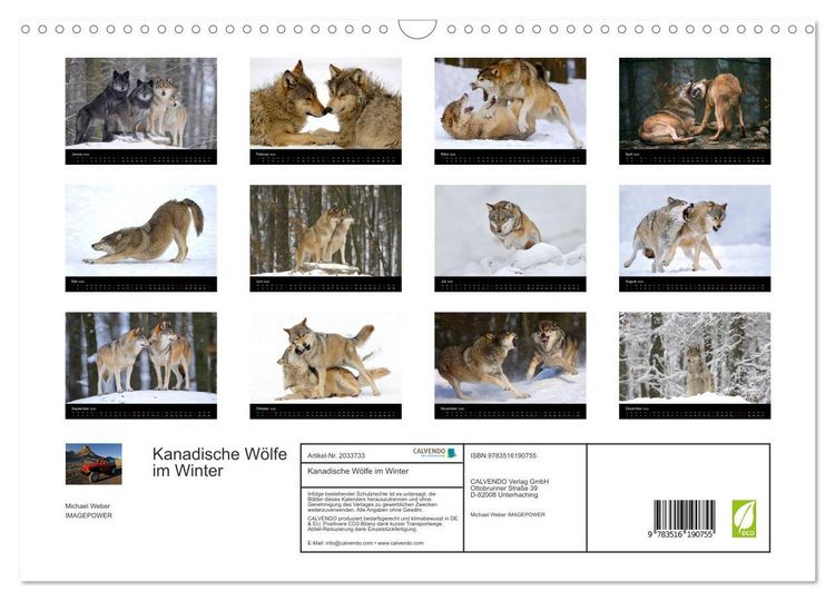 Produktbild: Kanadische W&ouml;lfe im Winter (Wandkalender 2026 DIN A3 quer), CALVENDO Monatskalender