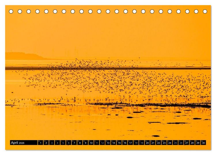 Produktbild: Einzigartige Strandansichten auf Amrum (Tischkalender 2026 DIN A5 quer), CALVENDO Monatskalender