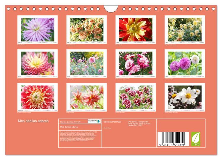 Produktbild: Mes dahlias ador&eacute;s (Calendrier mural 2026 DIN A4 vertical), CALVENDO calendrier mensuel