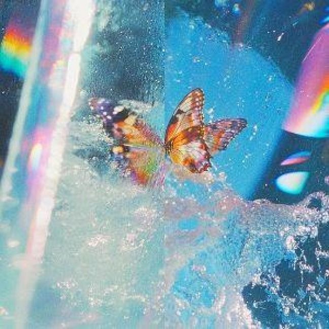 Produktbild: Daphni: Butterfly