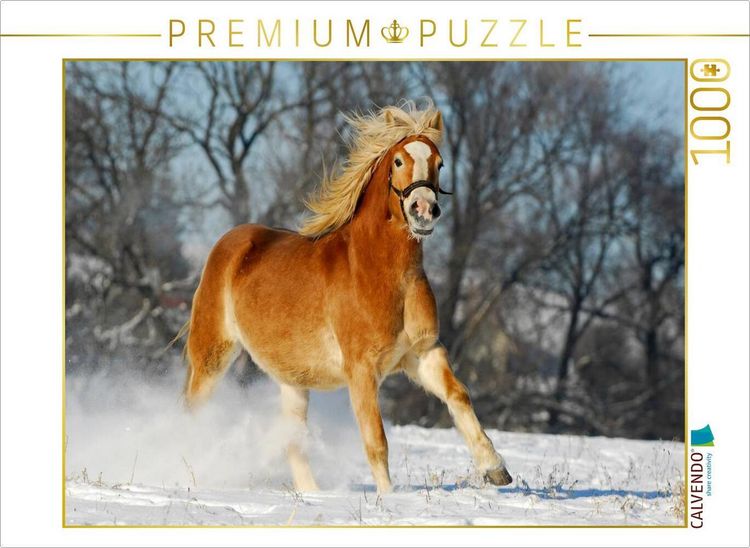 Produktbild: CALVENDO Puzzle Haflinger im Schnee | 1000 Teile Lege-Gr&ouml;&szlig;e 64x48cm Foto-Puzzle f&uuml;r gl&uuml;ckliche Stunden