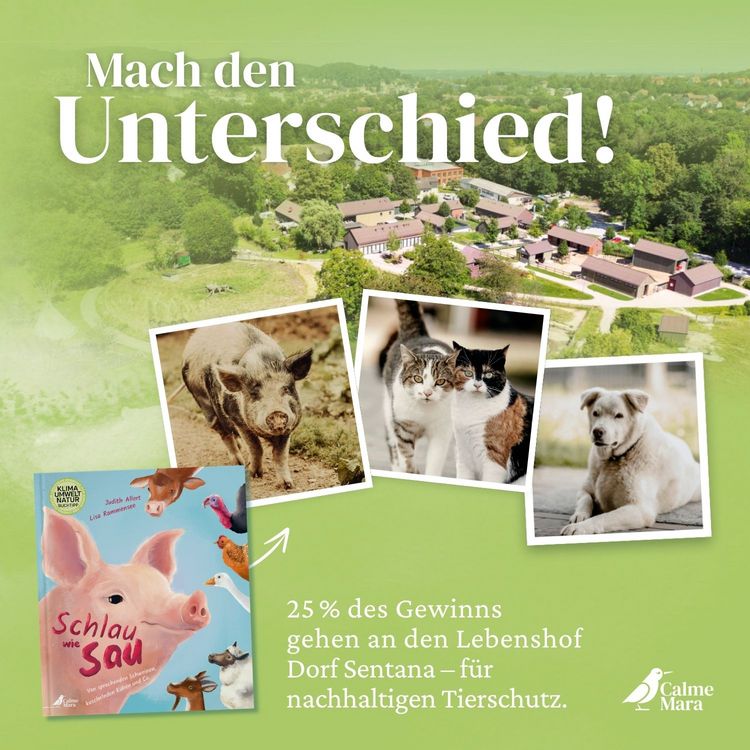 Produktbild: Schlau wie Sau
