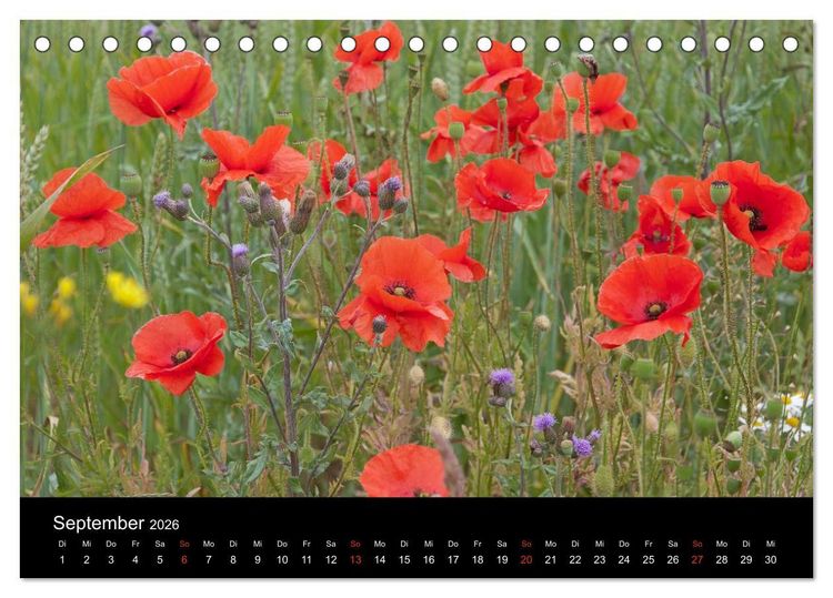 Produktbild: S&uuml;dschweden (Tischkalender 2026 DIN A5 quer), CALVENDO Monatskalender