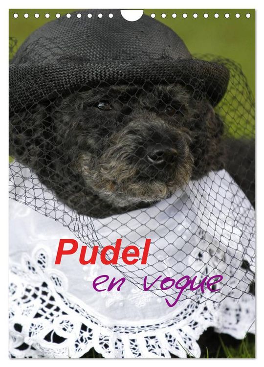 Produktbild: Pudel en vogue (Wandkalender 2026 DIN A4 hoch), CALVENDO Monatskalender