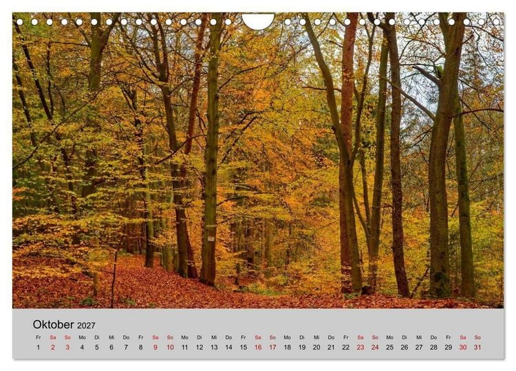 Produktbild: Biosph&auml;renreservat Schaalsee (Wandkalender 2027 DIN A4 quer), CALVENDO Monatskalender