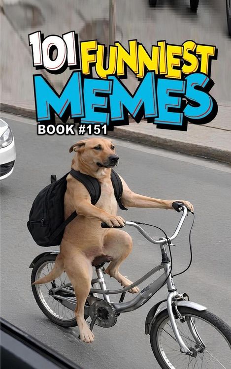 Produktbild: 101 Funniest Memes