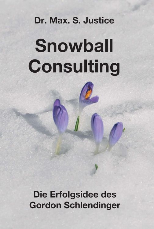 Produktbild: Snowball Consulting