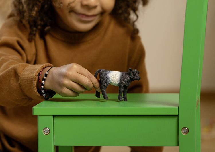 Produktbild: schleich&reg; Farm World Galloway Kalb 5,7cm