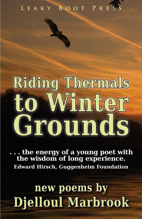 Produktbild: Riding Thermals to Winter Grounds
