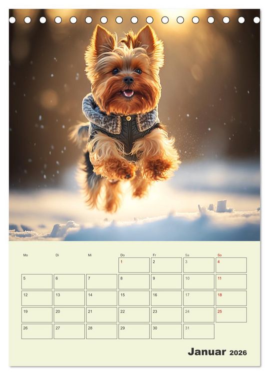 Produktbild: Yorkshire Terrier. Fr&ouml;hliche Energieb&uuml;ndel in Aktion (Tischkalender 2026 DIN A5 hoch), CALVENDO Monatskalender
