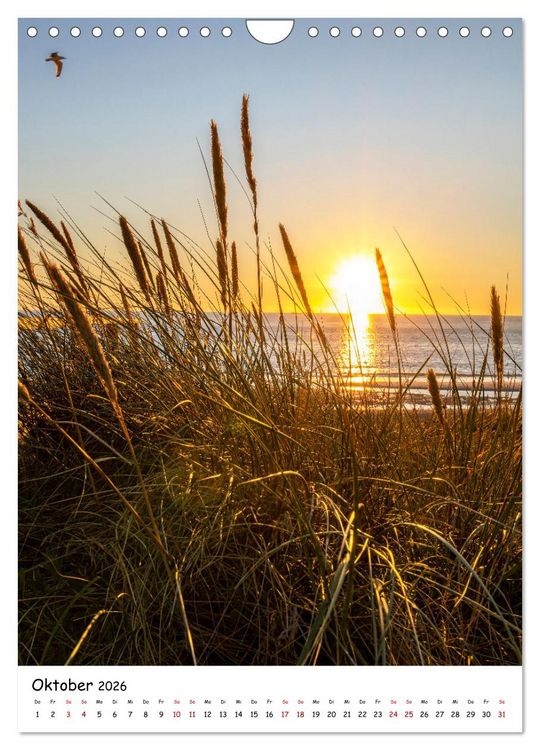 Produktbild: Bezauberndes Sylt (Wandkalender 2026 DIN A4 hoch), CALVENDO Monatskalender