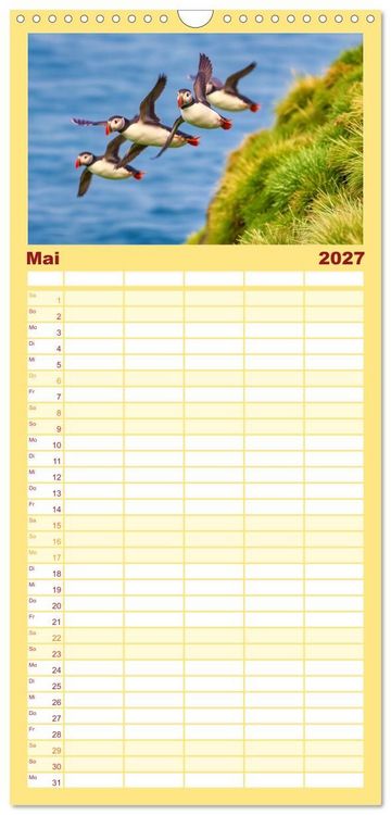 Produktbild: Familienplaner 2027 - Tieftaucher Papageitaucher mit 5 Spalten (Wandkalender, 21 x 45 cm) CALVENDO