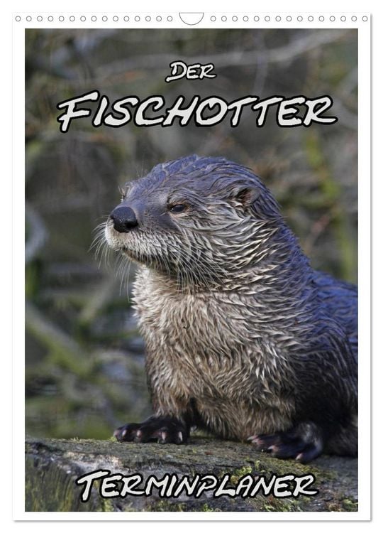 Produktbild: Der Fischotter-Terminplaner (Wandkalender 2026 DIN A3 hoch), CALVENDO Monatskalender