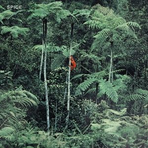 Produktbild: Spice (LTD. Clear Blue Vinyl)