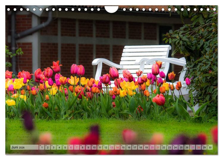 Produktbild: Schlossgarten Oldenburg. Ein Fotospaziergang (Wandkalender 2026 DIN A4 quer), CALVENDO Monatskalender