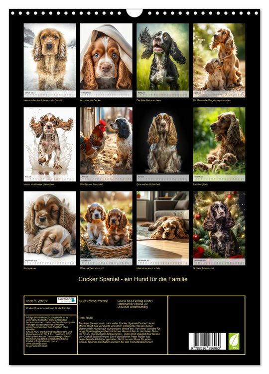 Produktbild: Cocker Spaniel - ein Hund f&uuml;r die Familie (Wandkalender 2026 DIN A3 hoch), CALVENDO Monatskalender