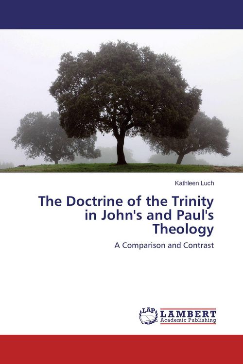 Produktbild: The Doctrine of the Trinity in John's and Paul's Theology