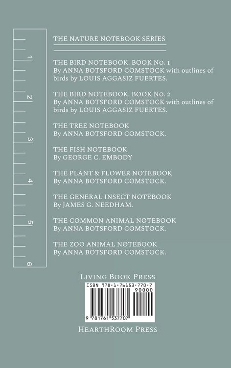 Produktbild: Notes on Birds 1