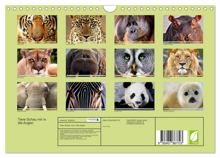 Produktbild: Tiere Schau mir in die Augen (Wandkalender 2026 DIN A4 quer), CALVENDO Monatskalender