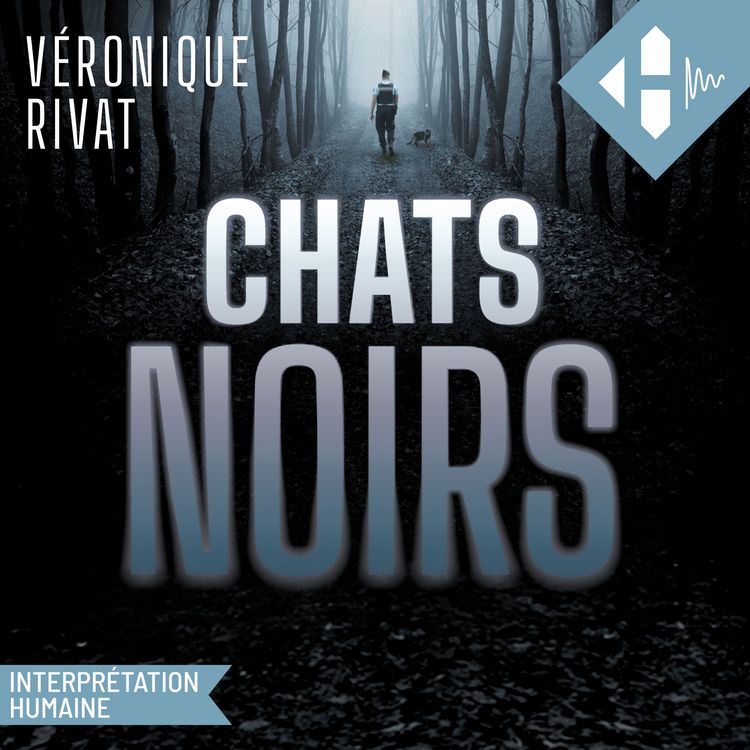 Produktbild: Chats Noirs